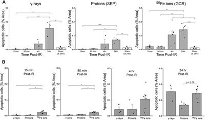 Immediate effects of acute Mars mission equivalent doses of SEP and GCR radiation on the murine gastrointestinal system-protective effects of curcumin-loaded nanolipoprotein particles (cNLPs)